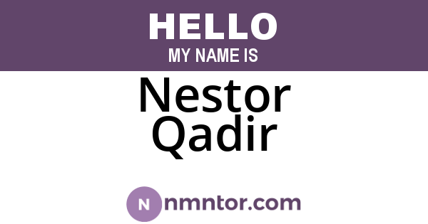 Nestor Qadir