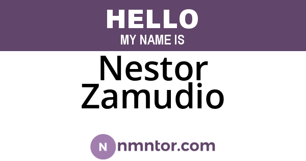 Nestor Zamudio
