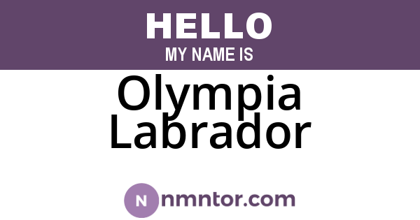 Olympia Labrador