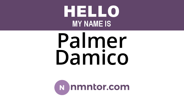 Palmer Damico