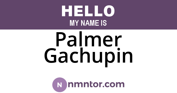 Palmer Gachupin
