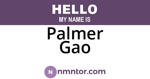 Palmer Gao
