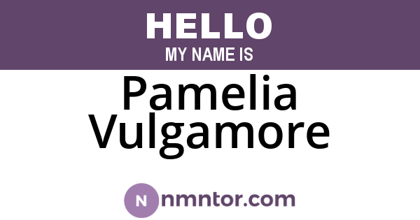 Pamelia Vulgamore