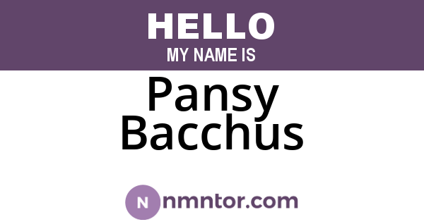Pansy Bacchus