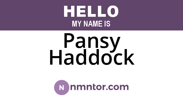 Pansy Haddock