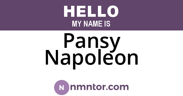 Pansy Napoleon