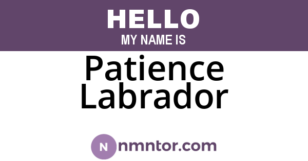 Patience Labrador