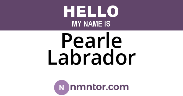 Pearle Labrador