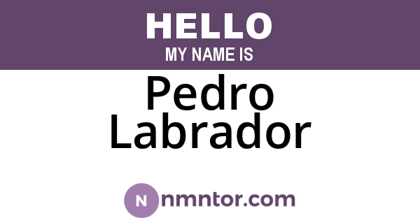 Pedro Labrador