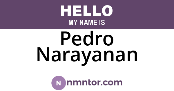 Pedro Narayanan