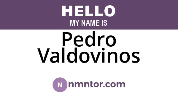 Pedro Valdovinos