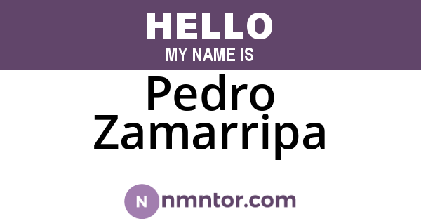 Pedro Zamarripa