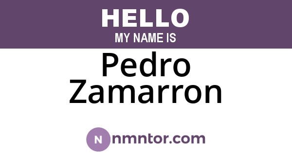 Pedro Zamarron
