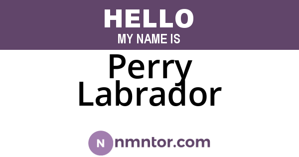 Perry Labrador