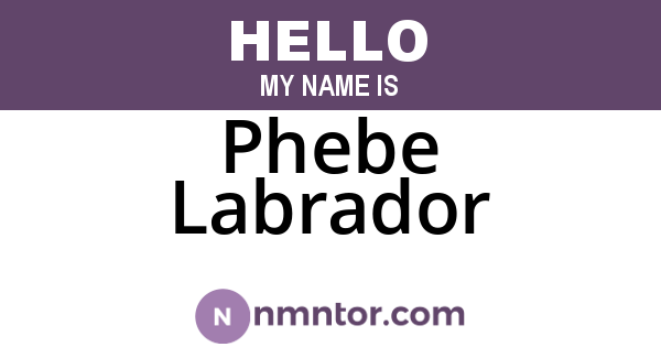 Phebe Labrador