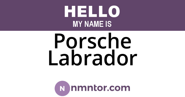 Porsche Labrador