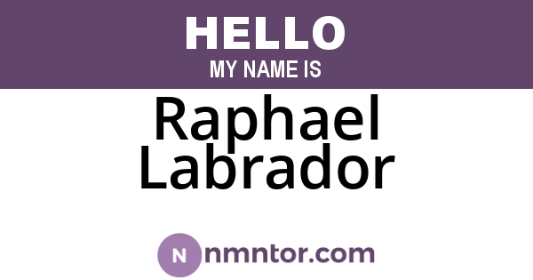 Raphael Labrador