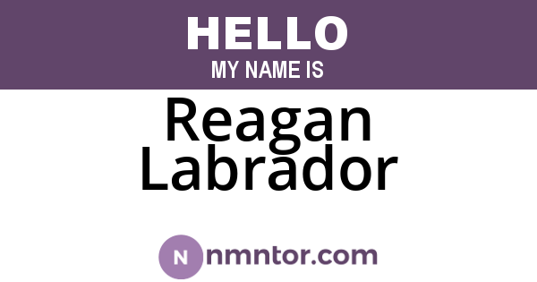 Reagan Labrador