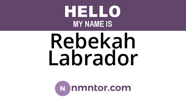 Rebekah Labrador