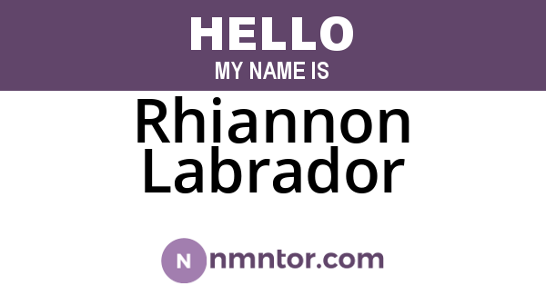 Rhiannon Labrador