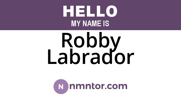 Robby Labrador