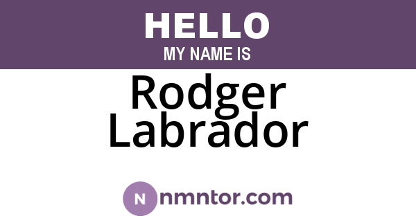 Rodger Labrador