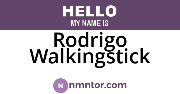 Rodrigo Walkingstick