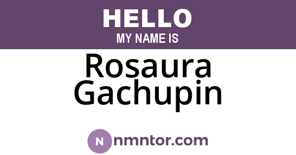 Rosaura Gachupin
