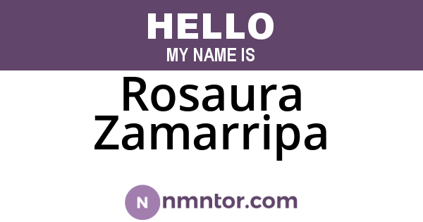 Rosaura Zamarripa