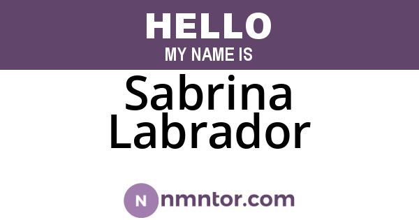 Sabrina Labrador