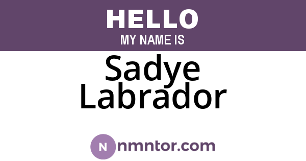 Sadye Labrador