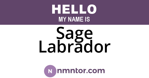Sage Labrador