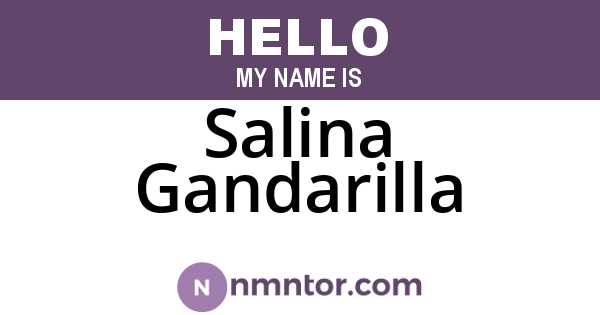 Salina Gandarilla