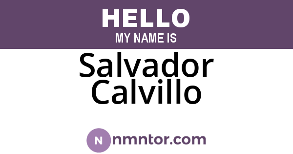 Salvador Calvillo