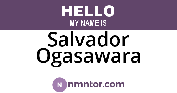 Salvador Ogasawara