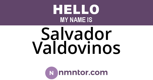 Salvador Valdovinos