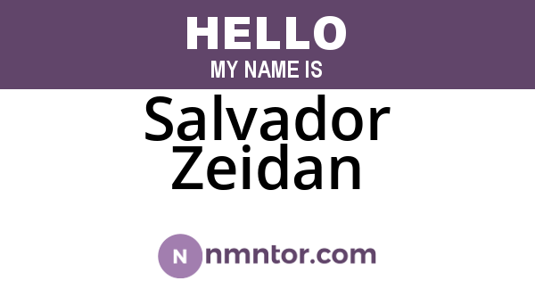 Salvador Zeidan