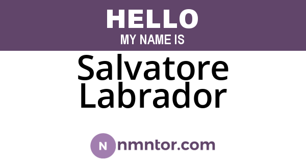 Salvatore Labrador