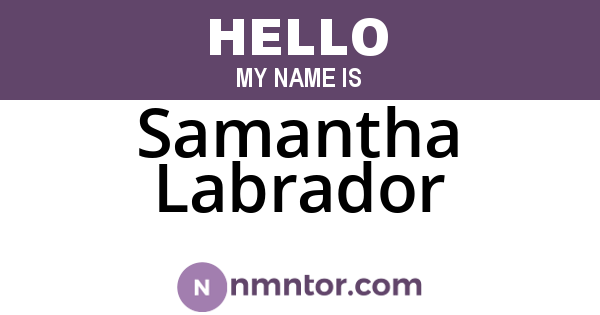 Samantha Labrador