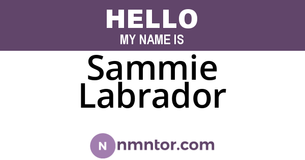 Sammie Labrador