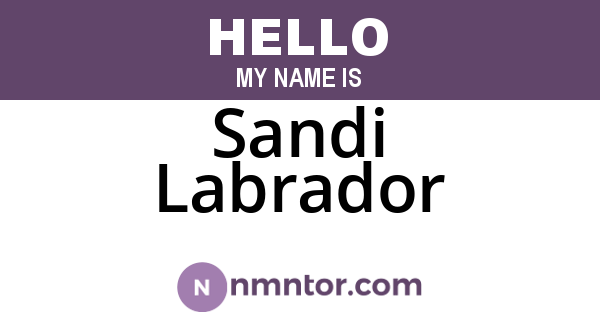 Sandi Labrador