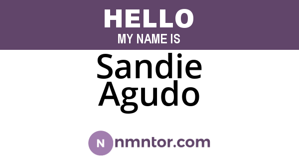 Sandie Agudo