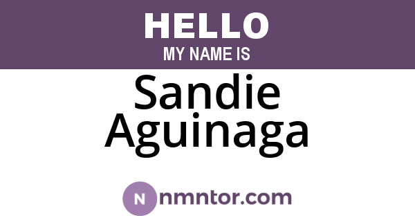 Sandie Aguinaga