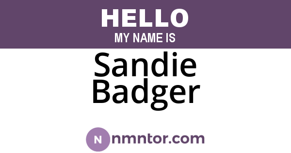 Sandie Badger