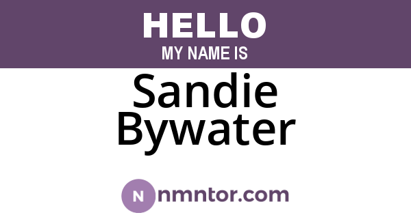 Sandie Bywater