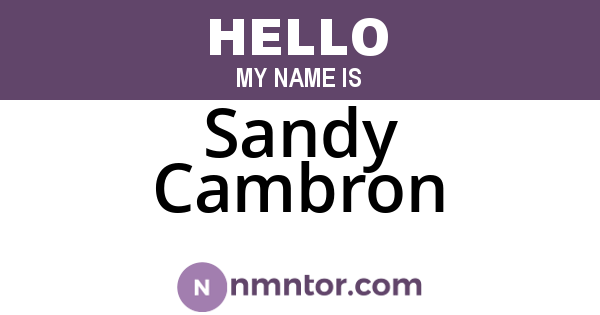 Sandy Cambron