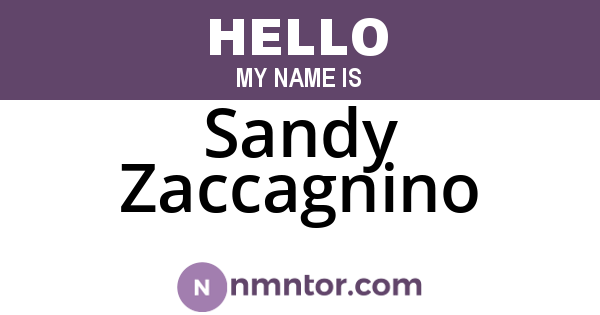 Sandy Zaccagnino