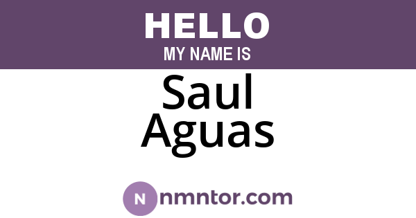 Saul Aguas