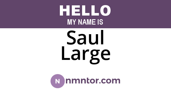Saul Large