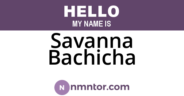 Savanna Bachicha